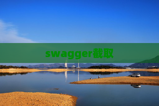 swagger截取